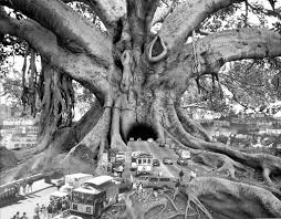 thomas barbey