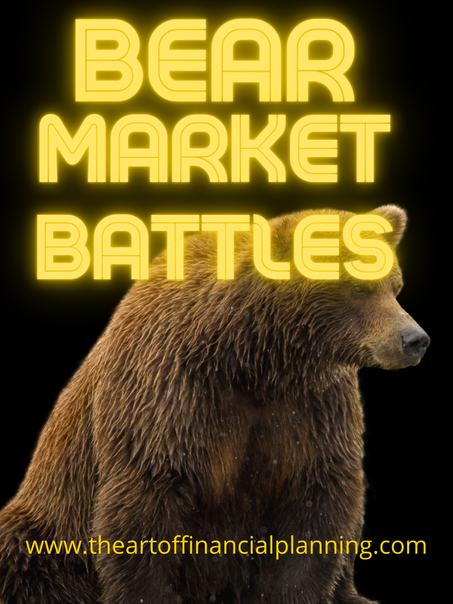 Bear Market Battles The Art of Financial Planning